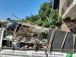 Best Recycling Services for Junk  in Mancelona, MI