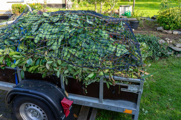 Best Moving and Downsizing Cleanouts  in Mancelona, MI